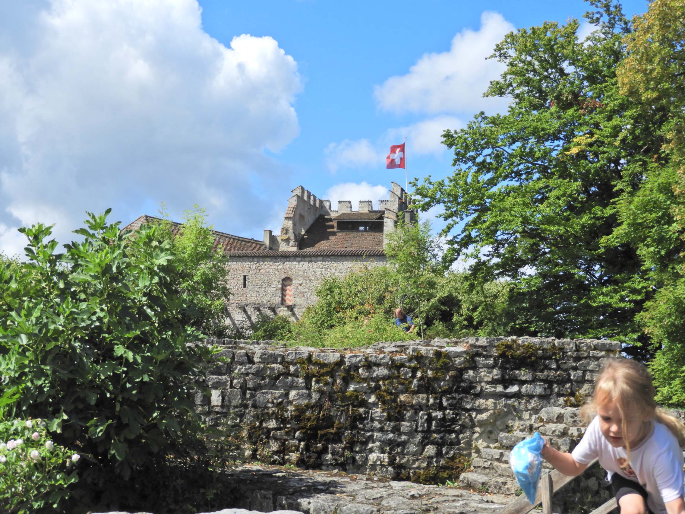 Die Habsburg im Aargau